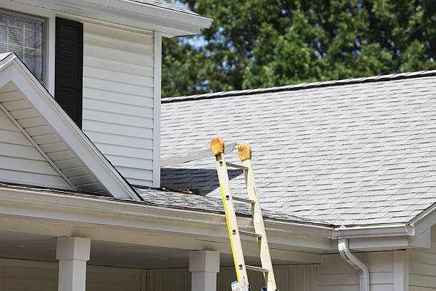 Best Steel Siding Installation  in Farmland, IN