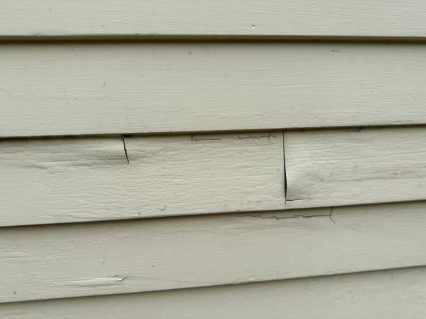 Best Stucco Siding  in Farmland, IN