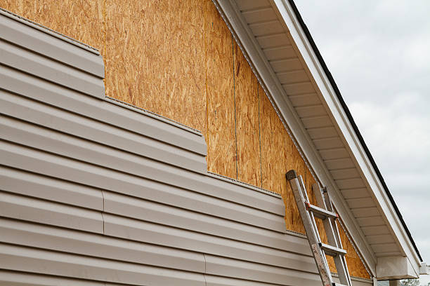 Best Custom Trim and Detailing for Siding  in Farmland, IN